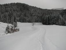 Klik za večjo sliko